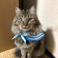 たらちゃん