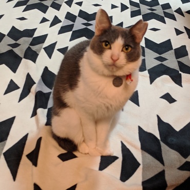 まるまるいっちゃん