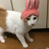 幸