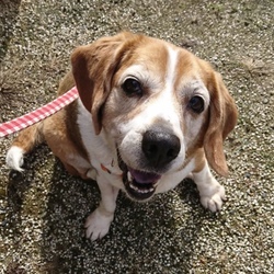 3月3日に愛知県豊橋市でイベントに参加！