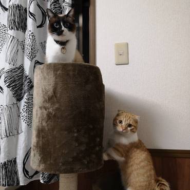 ロミオとジュリエット