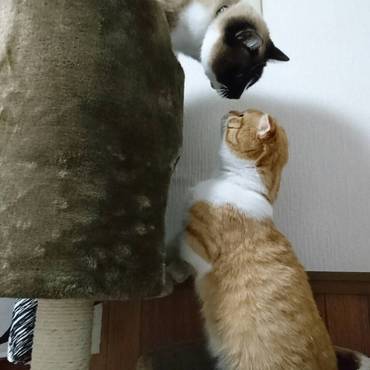 チュウできるかな