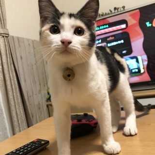 たくさんのご連絡ありがとうございました。