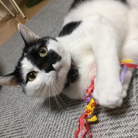 つぶ