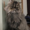 の写真