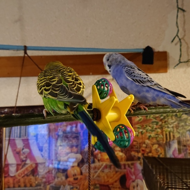 kuga-zのカバー写真