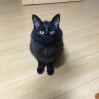 あずき