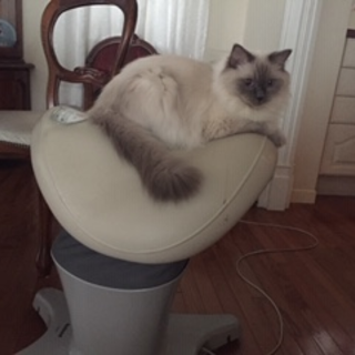 本当にたくさんのご応募、ありがとうございました！！