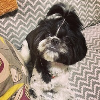 モナ