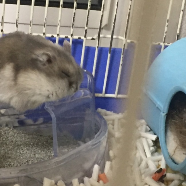 タカコ¾のカバー写真