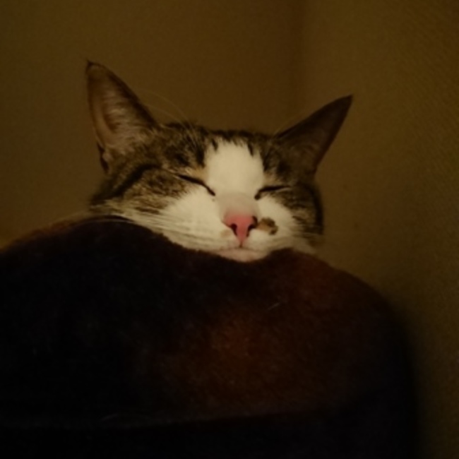 おひなおそらのカバー写真