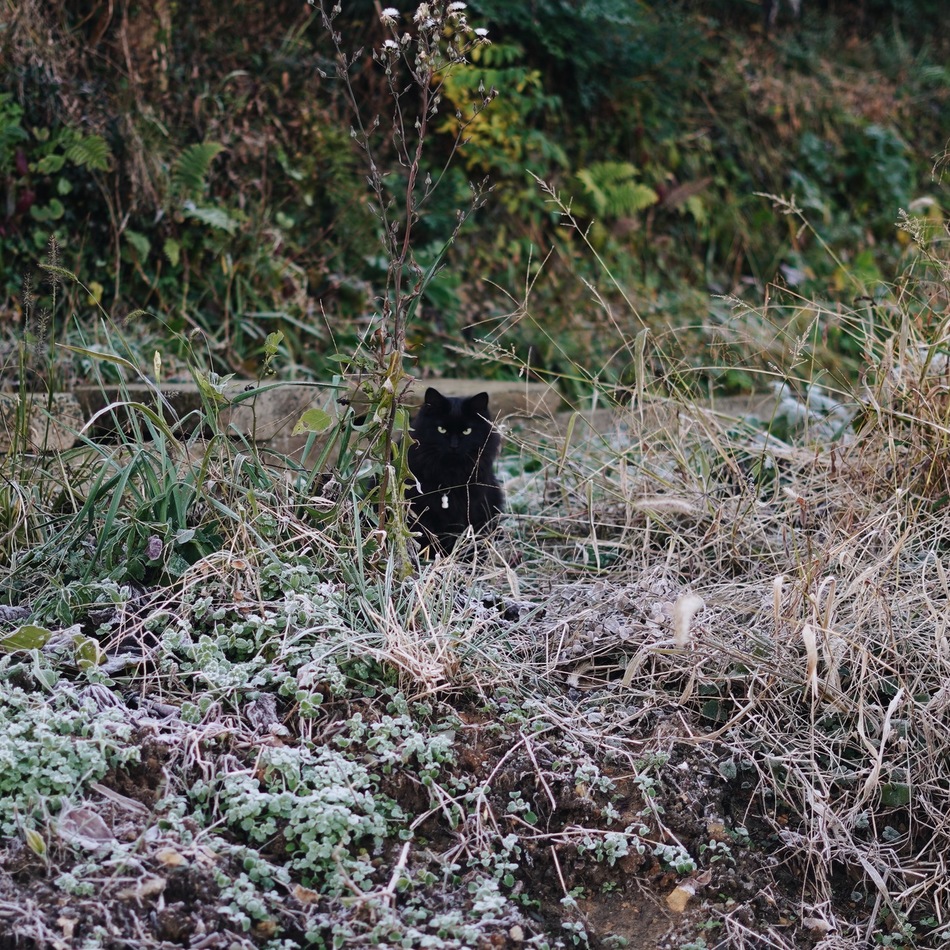 六雲のカバー写真