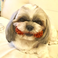 ツナ