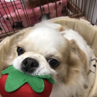 素敵なご縁がありました、