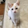 maemae