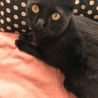 4月で3歳になります