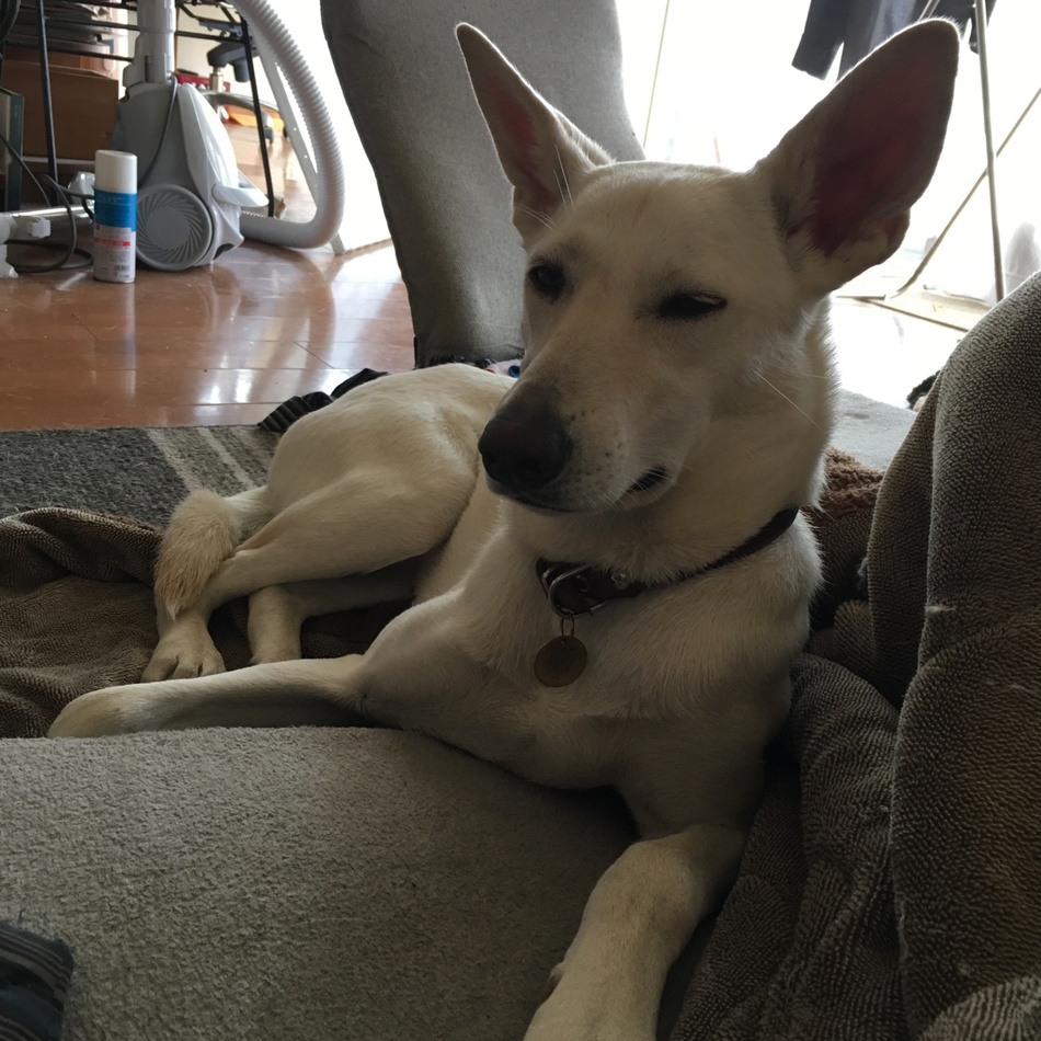 ラルのカバー写真