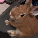 ビビリでツンデレでも甘えん坊な0歳5ヶ月の女の子