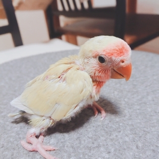 たくさんの応募ありがとうございました。