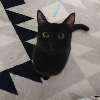 映えませんけど、お願いします