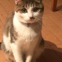 Chloe(愛称クゥちゃん)