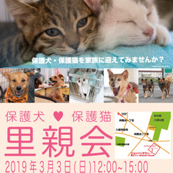 ジョンソンタウン里親会（本日中止です）