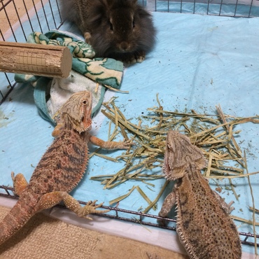 の写真