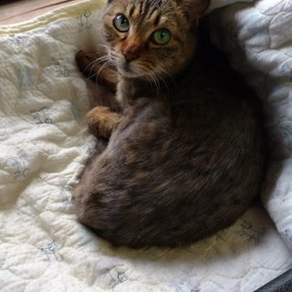 ゆっくり静かで幸せな老後を過ごさせてやって下さい。