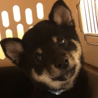 小鉄