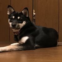 千秋（ちあき）