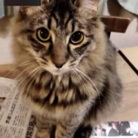 むーちゃん(武蔵)