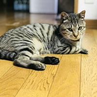 まーくん(正義)