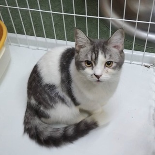 ちょっとビビりだけど慣れたら甘々です(^ ^)