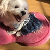 なぁーくん