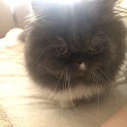 寝てくれるかな？