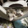2人で仲良く