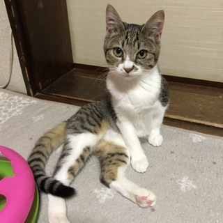 とても元気☆遊ぶの大好き！ まーちゃん