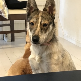 元気いっぱいおてんば娘！