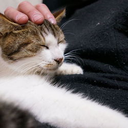 宗春　返却される・・・