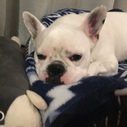 「絵を描いてもらった」サムネイル2