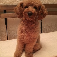 ナッツ