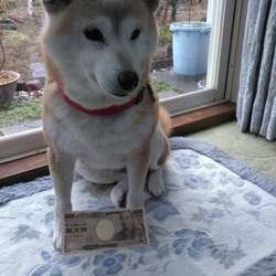 「元気いっぱい(๑´ڡ`๑)」サムネイル3