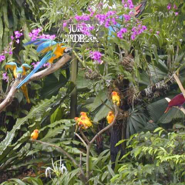 いちごぅのカバー写真