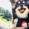 はーぼーちゃこ