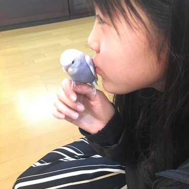 の写真