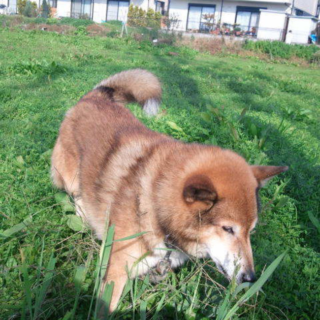 ken16mnkのカバー写真