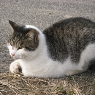 とても素敵なお家が決まりました♡幸せいっぱい