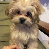 じろう