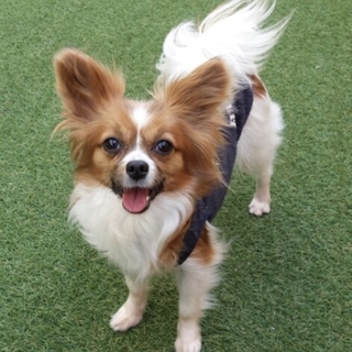 決定☆ 『カラ』色々と楽しんでおります♪