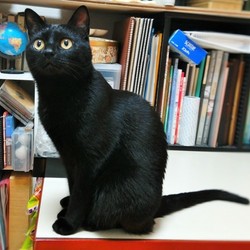 ストーブの側が良いな～